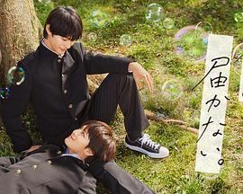 泛页面关键词1554